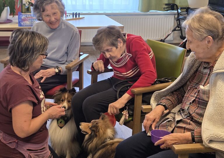 Tierischer Besuch in Wiener Neustadt Tierischer Besuch in Wiener Neustadt