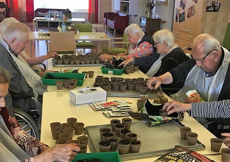 Bewohner*innen streuen Pflanzensamen.