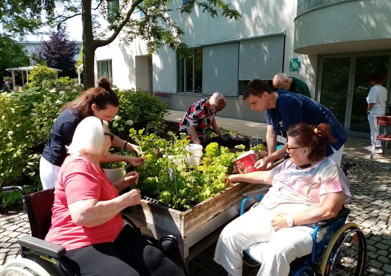 Garteln in der Tokiostraße