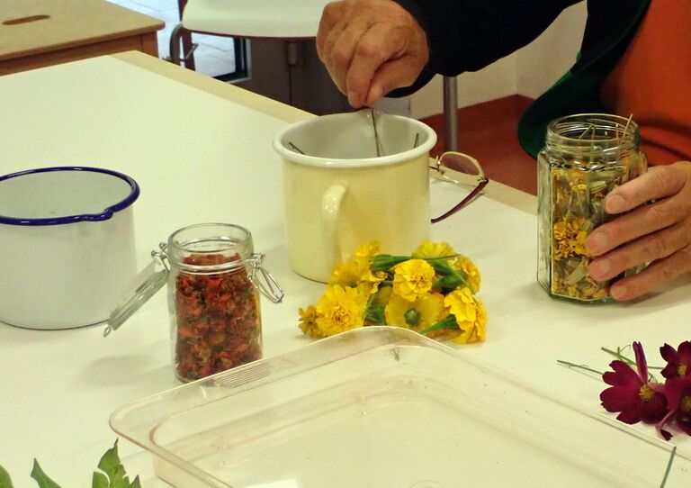 Garteln in der Tokiostraße