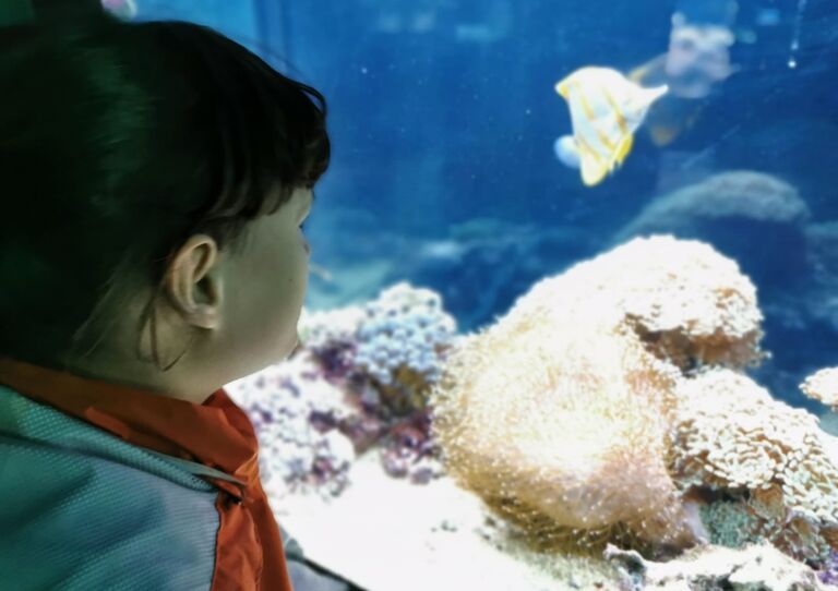 HABIT Kids-WG auf Tour