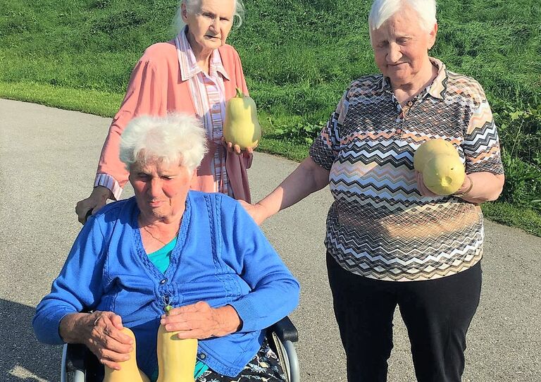 Herbststart mit Kürbisernte