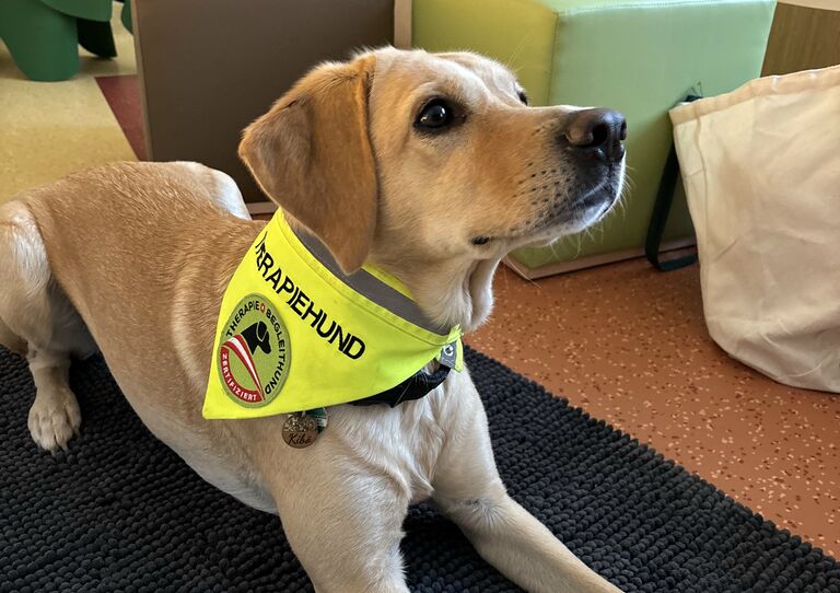 Therapiebegleithündin Kibō verbringt seit Oktober Zeit auf FRIDOLINA Therapiebegleithündin Kibō verbringt seit Oktober Zeit auf FRIDOLINA