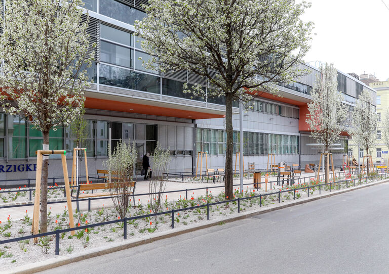 Außenansicht des Pocket-Parks am HB Pflegekrankenhaus Seeböckgasse in Wien-Ottakring │ Foto: Christian Fürthner Außenansicht des Pocket-Parks am HB Pflegekrankenhaus Seeböckgasse in Wien-Ottakring │ Foto: Christian Fürthner