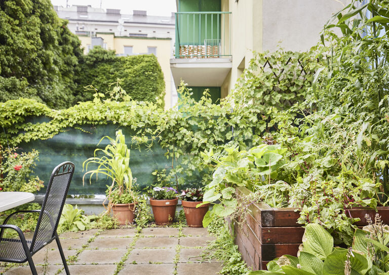 Garten der HABIT WG Kulmgasse mit einem Hochbeet
