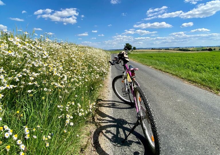 Fahrrad auf Landstraße neben blühender Wiese und unter blauem Himmel.